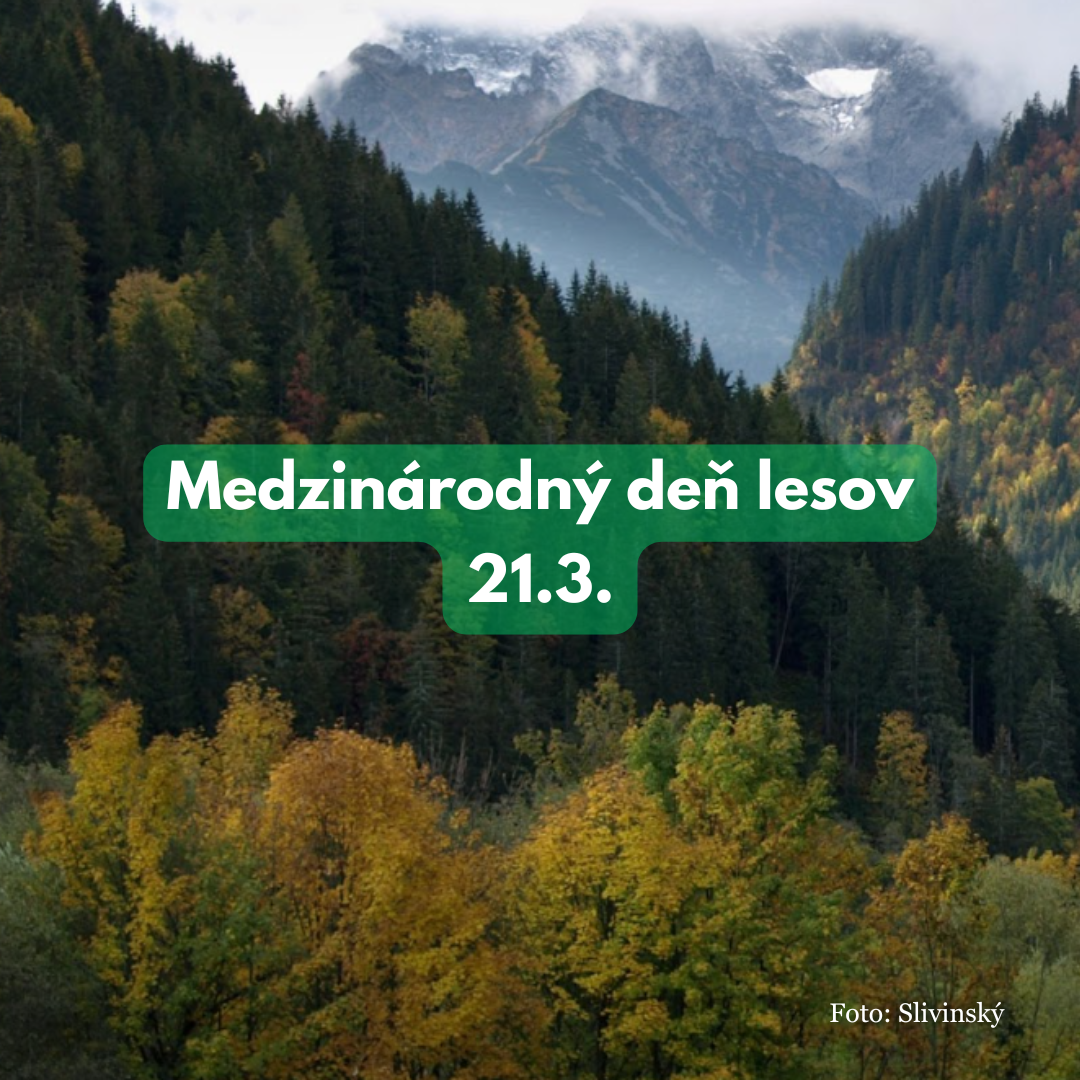 Medzinárodný deň lesov 21.3.