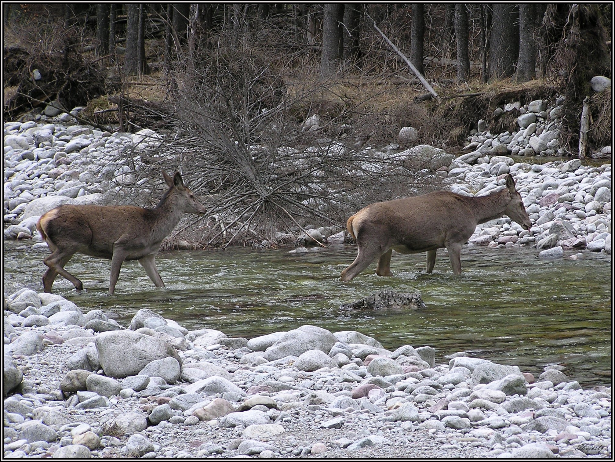 svetový deň vody OZ DLV